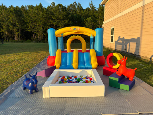 Bounce & Play Deluxe